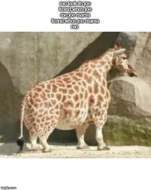 Short girrafe | me:look its joe
freind;whos joe
me;joe mama
freind:whos joe mama
me: | image tagged in short girrafe | made w/ Imgflip meme maker