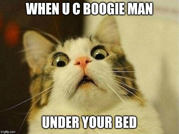 Scared Cat Meme | WHEN U C BOOGIE MAN; UNDER YOUR BED | image tagged in memes,scared cat | made w/ Imgflip meme maker