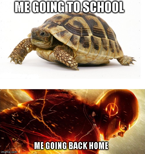 Slow vs Fast Meme | ME GOING TO SCHOOL; ME GOING BACK HOME | image tagged in slow vs fast meme | made w/ Imgflip meme maker