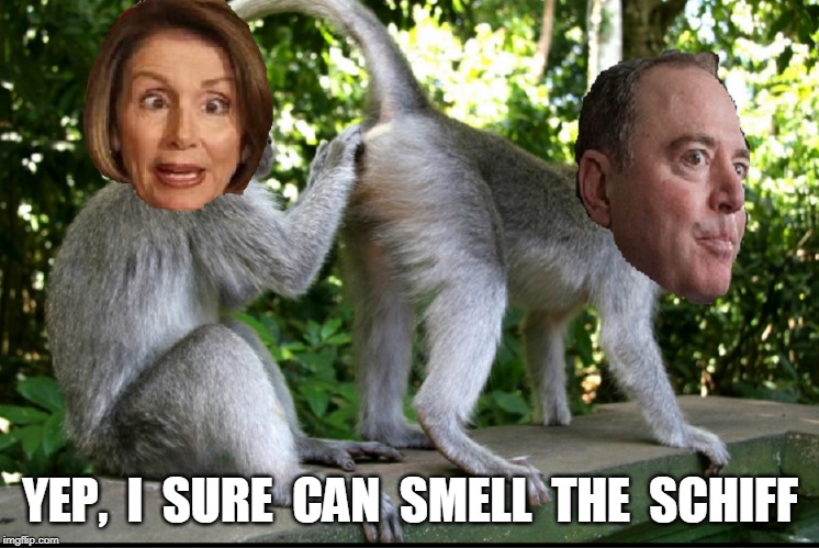 Nancy Pelosi and Adam Schiff | YEP,  I  SURE  CAN  SMELL  THE  SCHIFF | image tagged in nancy pelosi and adam schiff | made w/ Imgflip meme maker