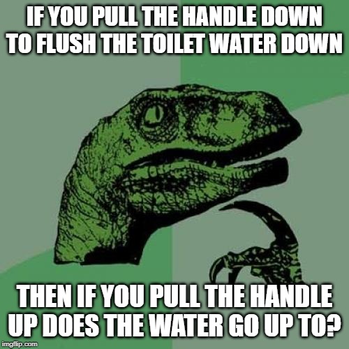 Philosoraptor Meme | IF YOU PULL THE HANDLE DOWN TO FLUSH THE TOILET WATER DOWN; THEN IF YOU PULL THE HANDLE UP DOES THE WATER GO UP TO? | image tagged in memes,philosoraptor | made w/ Imgflip meme maker
