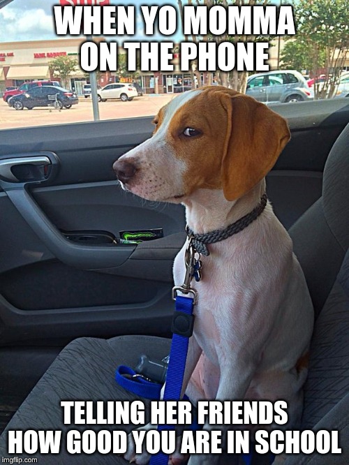 Suspicious Dog | WHEN YO MOMMA ON THE PHONE; TELLING HER FRIENDS HOW GOOD YOU ARE IN SCHOOL | image tagged in suspicious dog | made w/ Imgflip meme maker