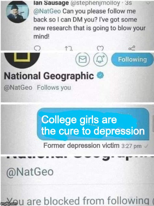 If more people would go out and meet some College girls, there would be less shootings | College girls are the cure to depression; Former depression victim | image tagged in natgeo block,college,dating,life,the scroll of truth,so true memes | made w/ Imgflip meme maker