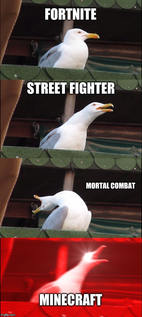 Inhaling Seagull | FORTNITE; STREET FIGHTER; MORTAL COMBAT; MINECRAFT | image tagged in memes,inhaling seagull | made w/ Imgflip meme maker