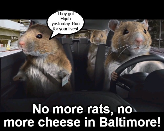 No more rats, no more cheese in Baltimore! | image tagged in baltimore riots,baltimore rats,no more cheese,elijah cummings,crying democrats,bye felicia | made w/ Imgflip meme maker