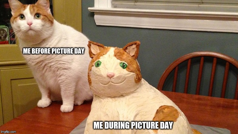 Cat and cat cake |  ME BEFORE PICTURE DAY; ME DURING PICTURE DAY | image tagged in cat and cat cake | made w/ Imgflip meme maker