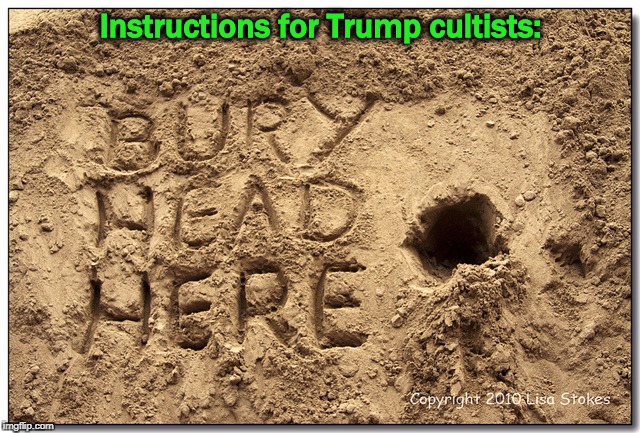 Instructions for Trump cultists: | image tagged in trump,cult,ignore | made w/ Imgflip meme maker