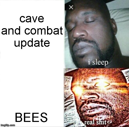 Sleeping Shaq | cave and combat update; BEES | image tagged in memes,sleeping shaq | made w/ Imgflip meme maker