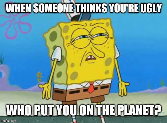 Angry Spongebob | WHEN SOMEONE THINKS YOU'RE UGLY; WHO PUT YOU ON THE PLANET? | image tagged in angry spongebob | made w/ Imgflip meme maker
