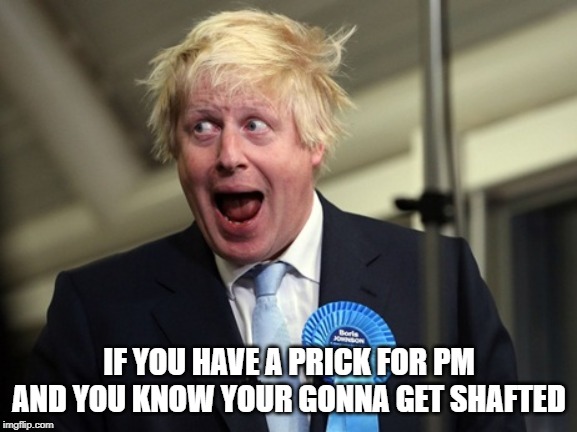 Boris Johnson | IF YOU HAVE A PRICK FOR PM AND YOU KNOW YOUR GONNA GET SHAFTED | image tagged in boris johnson | made w/ Imgflip meme maker