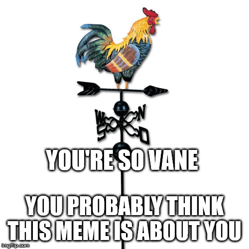 you're so vane | YOU'RE SO VANE; YOU PROBABLY THINK THIS MEME IS ABOUT YOU | image tagged in funny,funny memes | made w/ Imgflip meme maker