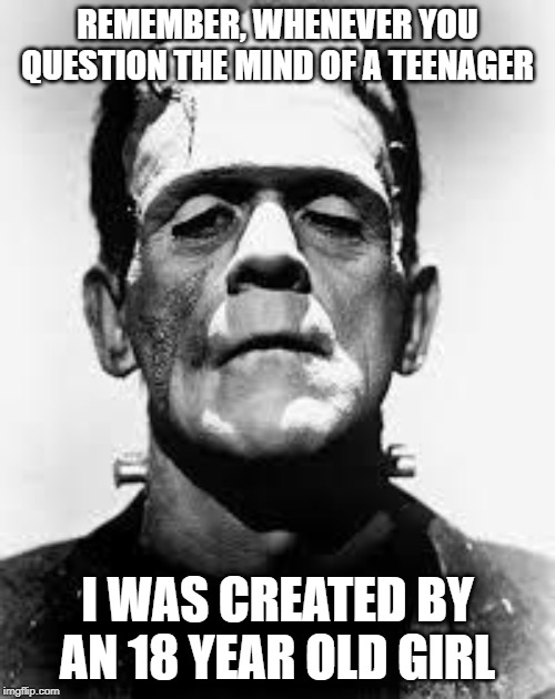 Yeah, That's Not a Great Endorsement....... | REMEMBER, WHENEVER YOU QUESTION THE MIND OF A TEENAGER; I WAS CREATED BY AN 18 YEAR OLD GIRL | image tagged in frankenstein's monster | made w/ Imgflip meme maker