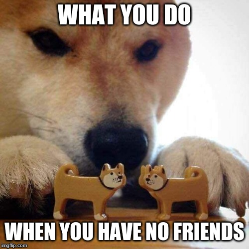 dog now kiss  | WHAT YOU DO; WHEN YOU HAVE NO FRIENDS | image tagged in dog now kiss | made w/ Imgflip meme maker
