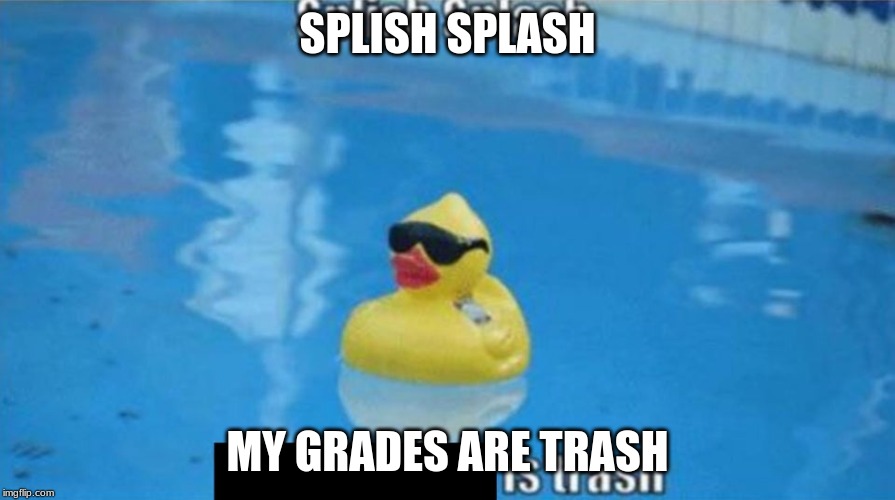 Splish Splash | SPLISH SPLASH; MY GRADES ARE TRASH | image tagged in splish splash | made w/ Imgflip meme maker