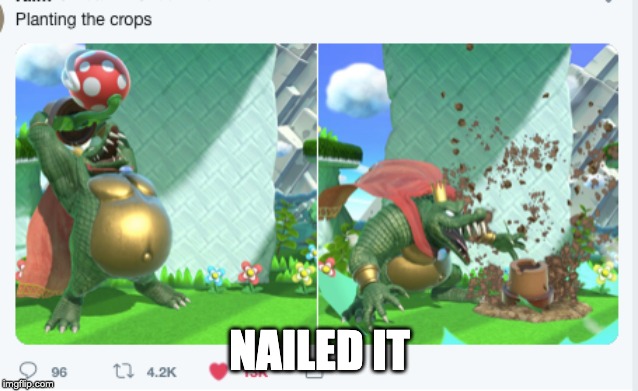 Smash Bros in a nutshell. 4/82 and 5/82 of smash bros characters in a nutshell | NAILED IT | made w/ Imgflip meme maker