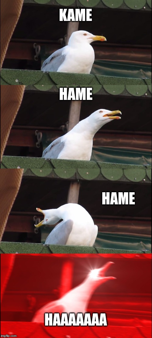 Inhaling Seagull | KAME; HAME; HAME; HAAAAAAA | image tagged in memes,inhaling seagull | made w/ Imgflip meme maker