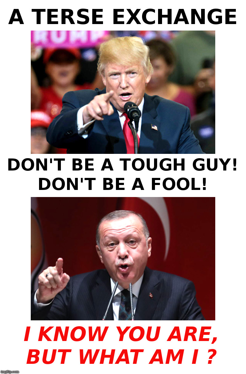 Trump vs Erdogan | image tagged in trump,erdogan,insults | made w/ Imgflip meme maker