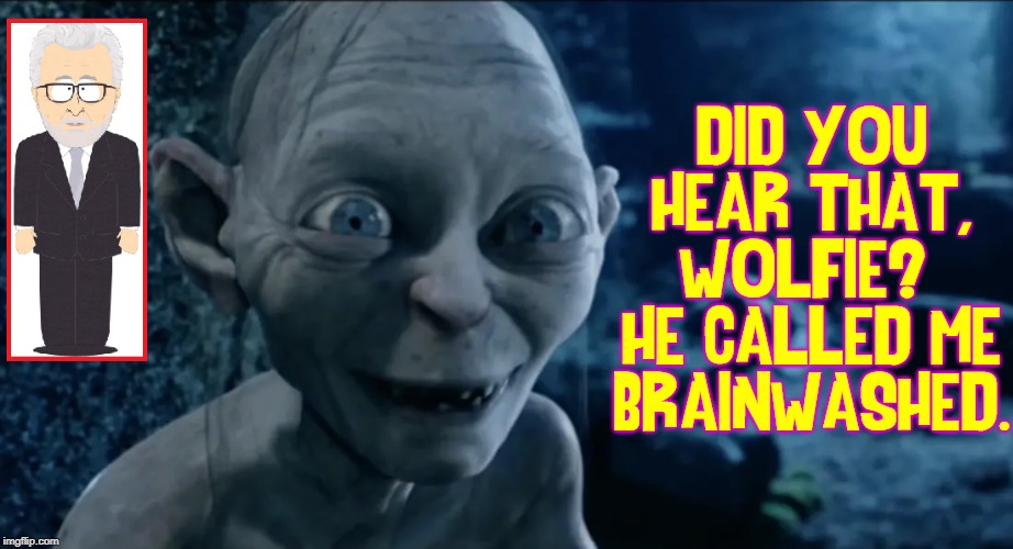 DID YOU HEAR THAT, WOLFIE?  HE CALLED ME BRAINWASHED. | made w/ Imgflip meme maker