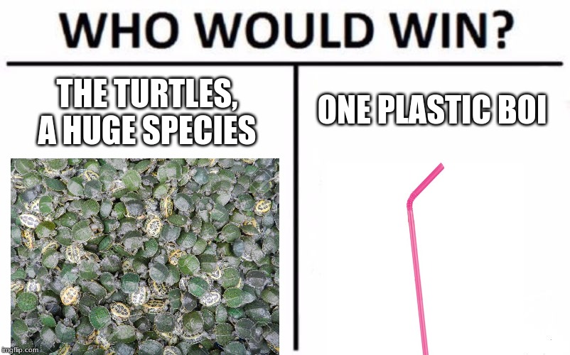 Who Would Win? Meme | THE TURTLES, A HUGE SPECIES; ONE PLASTIC BOI | image tagged in memes,who would win | made w/ Imgflip meme maker