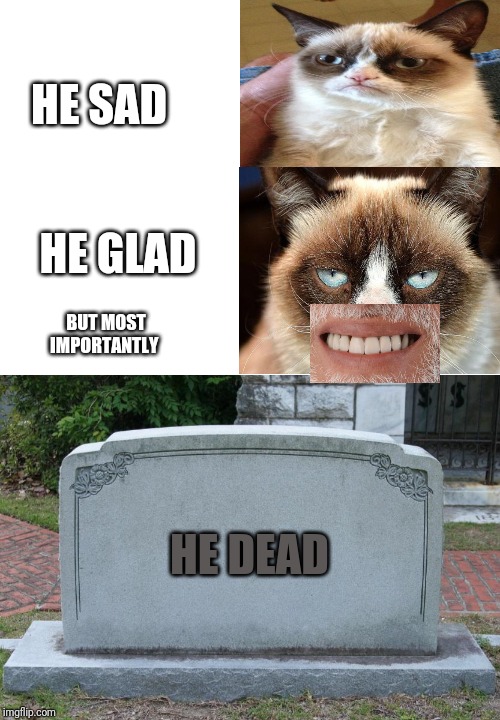 HE SAD; HE GLAD; BUT MOST IMPORTANTLY; HE DEAD | image tagged in blank white template,gravestone | made w/ Imgflip meme maker