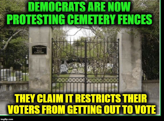 I think I see Dead People... VOTING! | DEMOCRATS ARE NOW PROTESTING CEMETERY FENCES; THEY CLAIM IT RESTRICTS THEIR  VOTERS FROM GETTING OUT TO VOTE | image tagged in vince vance,cemetery,democrats,dead voters,voter fraud,register to vote | made w/ Imgflip meme maker