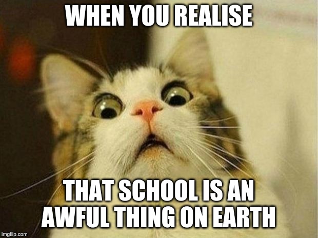 Scared Cat | WHEN YOU REALISE; THAT SCHOOL IS AN AWFUL THING ON EARTH | image tagged in memes,scared cat | made w/ Imgflip meme maker