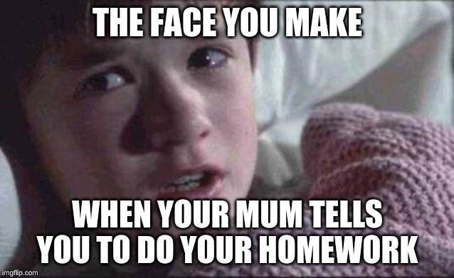 I See Dead People | THE FACE YOU MAKE; WHEN YOUR MUM TELLS YOU TO DO YOUR HOMEWORK | image tagged in memes,i see dead people | made w/ Imgflip meme maker