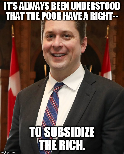 mr andrew scheer | IT'S ALWAYS BEEN UNDERSTOOD THAT THE POOR HAVE A RIGHT--; TO SUBSIDIZE THE RICH. | image tagged in mr andrew scheer | made w/ Imgflip meme maker