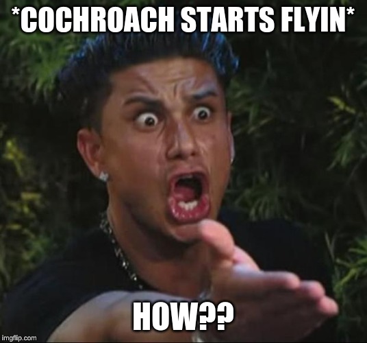 DJ Pauly D Meme | *COCHROACH STARTS FLYIN*; HOW?? | image tagged in memes,dj pauly d | made w/ Imgflip meme maker