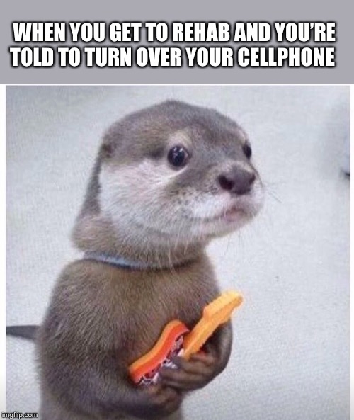 WHEN YOU GET TO REHAB AND YOU’RE TOLD TO TURN OVER YOUR CELLPHONE | image tagged in rehab,otters,cell phone | made w/ Imgflip meme maker