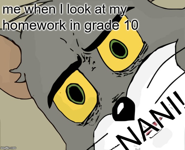 Unsettled Tom | me when I look at my; homework in grade 10; NANI! | image tagged in memes,unsettled tom | made w/ Imgflip meme maker