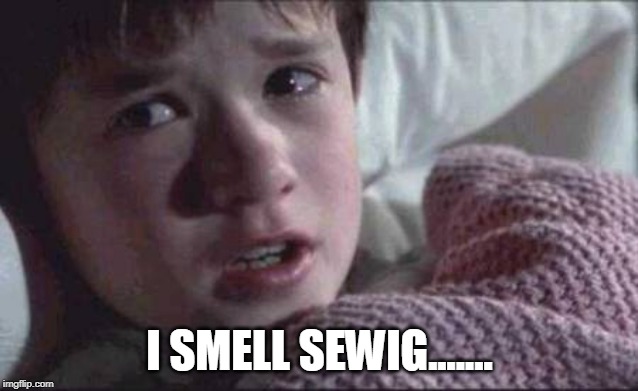 I See Dead People | I SMELL SEWIG....... | image tagged in memes,i see dead people | made w/ Imgflip meme maker