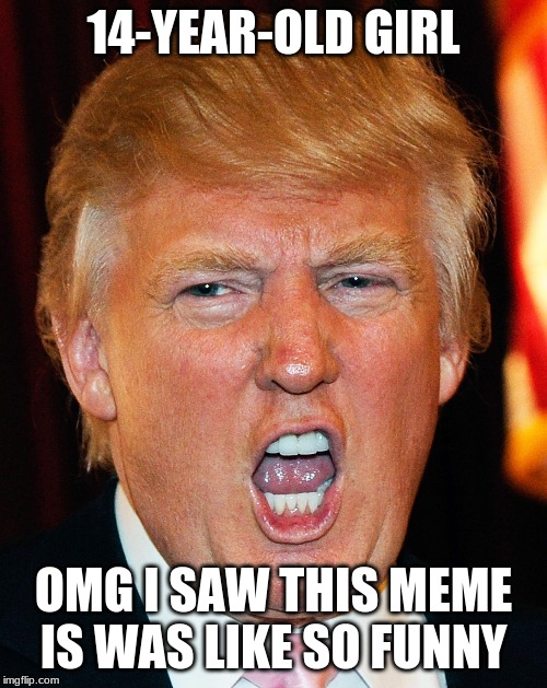 Donald Trump I Will Duck You Up | 14-YEAR-OLD GIRL; OMG I SAW THIS MEME IS WAS LIKE SO FUNNY | image tagged in donald trump i will duck you up | made w/ Imgflip meme maker