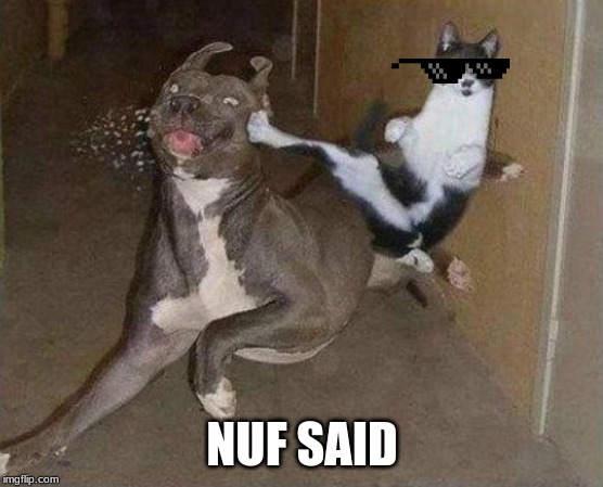 Cat Kicking Dog | NUF SAID | image tagged in cat kicking dog | made w/ Imgflip meme maker