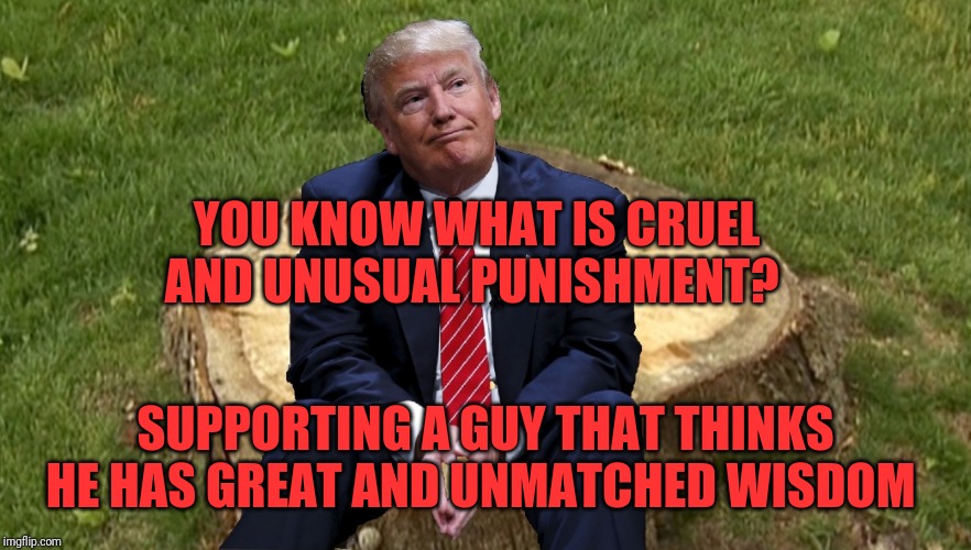 Trump on a stump | YOU KNOW WHAT IS CRUEL AND UNUSUAL PUNISHMENT? SUPPORTING A GUY THAT THINKS HE HAS GREAT AND UNMATCHED WISDOM | image tagged in trump on a stump | made w/ Imgflip meme maker