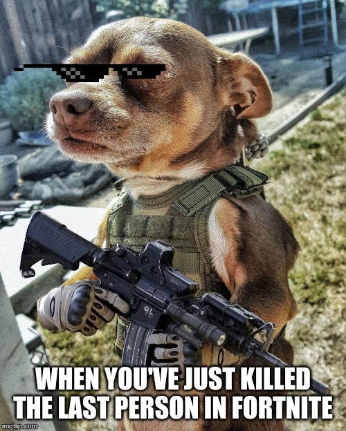 D-day Doggo | WHEN YOU'VE JUST KILLED THE LAST PERSON IN FORTNITE | image tagged in d-day doggo | made w/ Imgflip meme maker