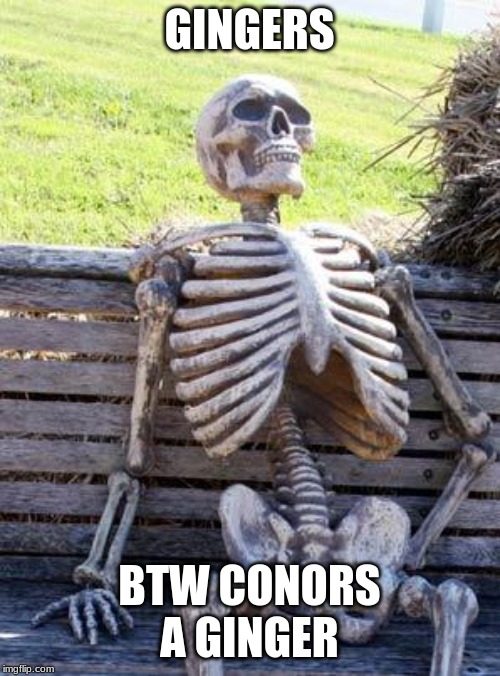 Waiting Skeleton Meme | GINGERS BTW CONORS A GINGER | image tagged in memes,waiting skeleton | made w/ Imgflip meme maker