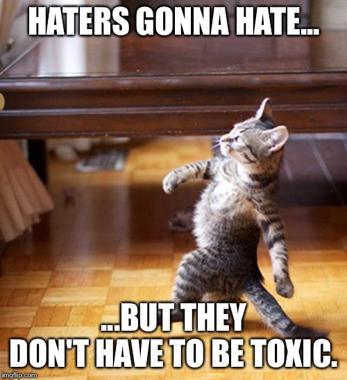 Toxicity | HATERS GONNA HATE... ...BUT THEY DON'T HAVE TO BE TOXIC. | image tagged in haters gonna hate,toxic,haters,hate,honesty,memes | made w/ Imgflip meme maker
