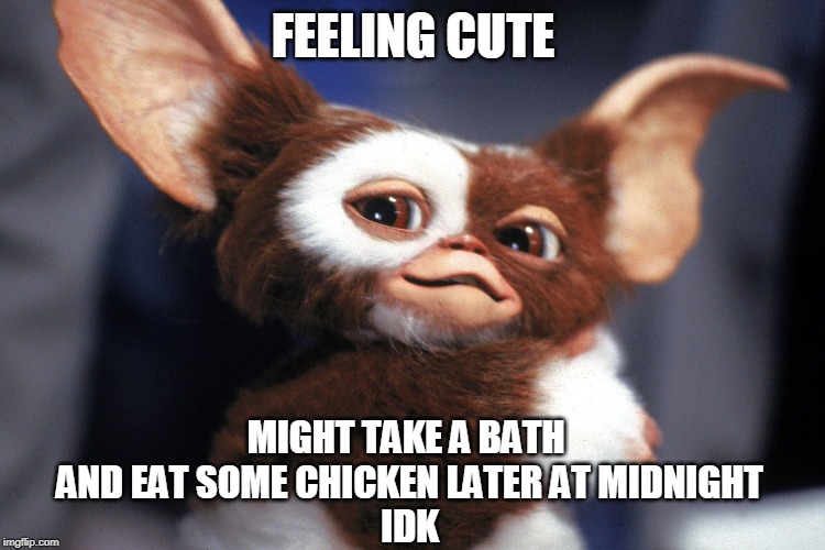 DONT DO IT | FEELING CUTE; MIGHT TAKE A BATH 
AND EAT SOME CHICKEN LATER AT MIDNIGHT
IDK | image tagged in gremlins,feeling cute | made w/ Imgflip meme maker