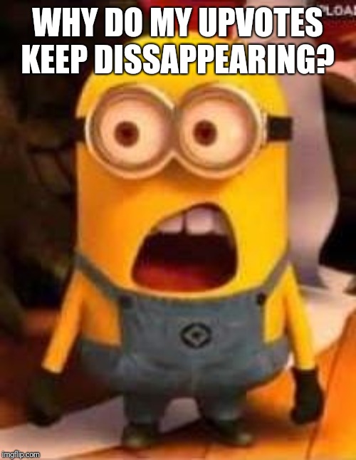 I know Thparky is going to think I'm making this up but I just realized when I upvote a meme and refresh the page it goes MIA | WHY DO MY UPVOTES KEEP DISSAPPEARING? | image tagged in whaaat | made w/ Imgflip meme maker