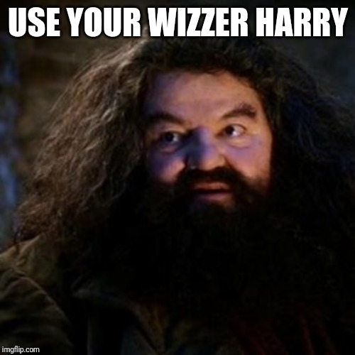 You're a wizard harry | USE YOUR WIZZER HARRY | image tagged in you're a wizard harry | made w/ Imgflip meme maker