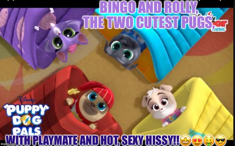 HISSY IS ONE SEXXAAAAIYYY LASSSSSSSSSST | BINGO AND ROLLY, THE TWO CUTEST PUGS, WITH PLAYMATE AND HOT, SEXY HISSY!!🤩😍🤑😎 | image tagged in hissy is one sexxaaaaiyyy lasssssssssst | made w/ Imgflip meme maker