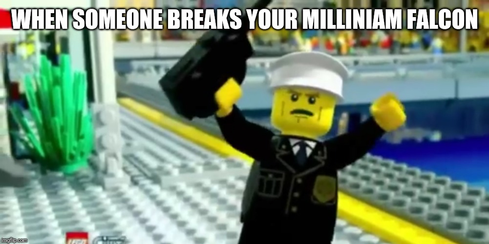 Hey! | WHEN SOMEONE BREAKS YOUR MILLINIAM FALCON | image tagged in hey | made w/ Imgflip meme maker