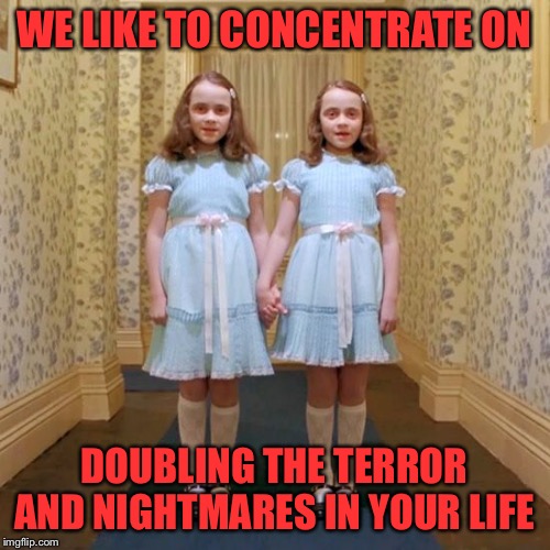 Twins from The Shining | WE LIKE TO CONCENTRATE ON DOUBLING THE TERROR AND NIGHTMARES IN YOUR LIFE | image tagged in twins from the shining | made w/ Imgflip meme maker