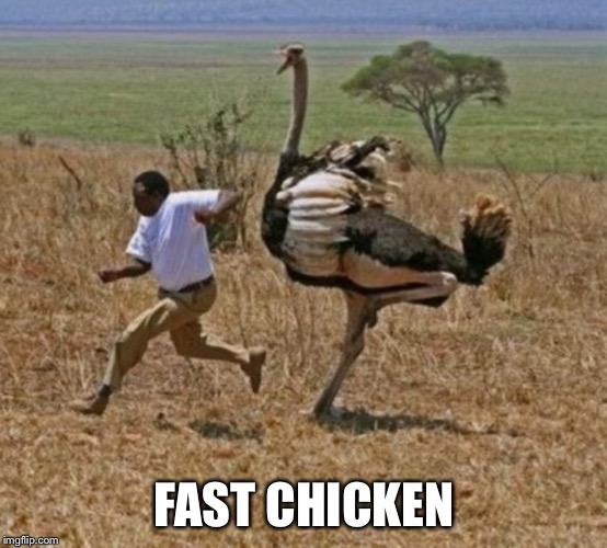 Guy running from ostrich | FAST CHICKEN | image tagged in guy running from ostrich | made w/ Imgflip meme maker