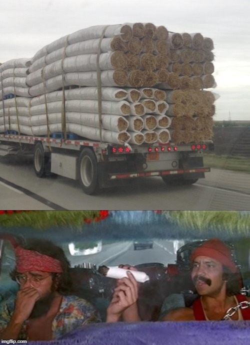 No Words Needed... | image tagged in cheech chong | made w/ Imgflip meme maker