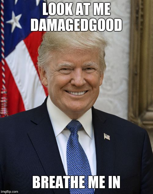 Smug Trump | LOOK AT ME DAMAGEDGOOD BREATHE ME IN | image tagged in smug trump | made w/ Imgflip meme maker