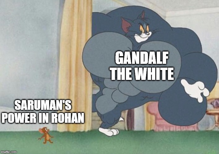 tom and jerry | GANDALF THE WHITE; SARUMAN'S POWER IN ROHAN | image tagged in tom and jerry | made w/ Imgflip meme maker