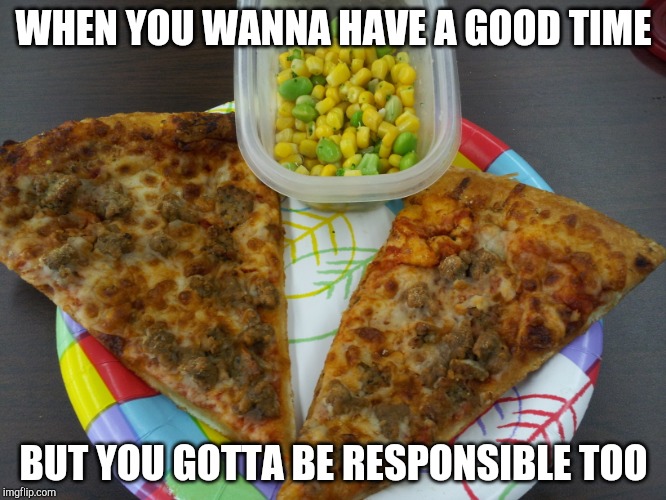 WHEN YOU WANNA HAVE A GOOD TIME; BUT YOU GOTTA BE RESPONSIBLE TOO | image tagged in funny,adulting | made w/ Imgflip meme maker