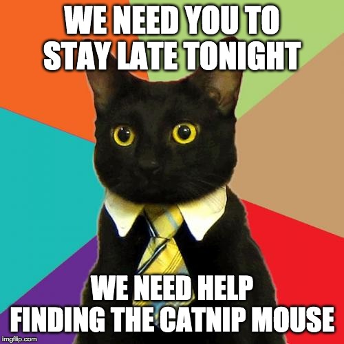 Business Cat | WE NEED YOU TO STAY LATE TONIGHT; WE NEED HELP FINDING THE CATNIP MOUSE | image tagged in memes,business cat | made w/ Imgflip meme maker